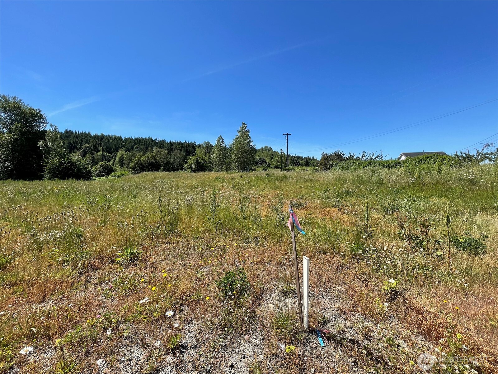 842 Still Road Sequim WA 98382