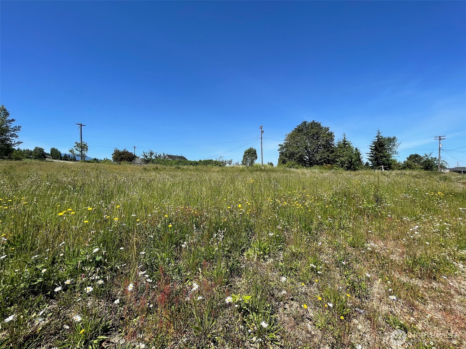 842 Still Road Sequim WA 98382