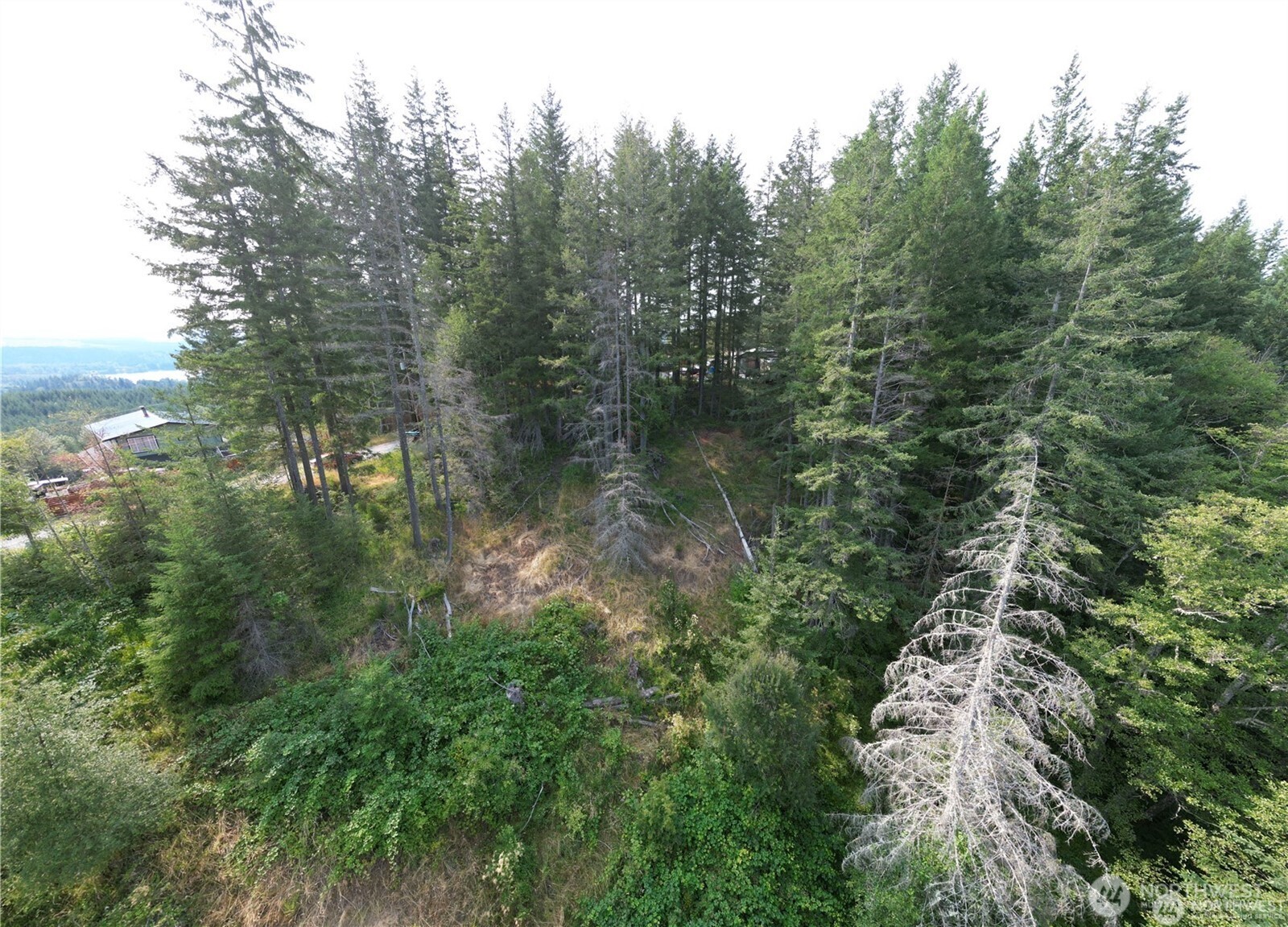 50113 146th Avenue E Eatonville WA 98328