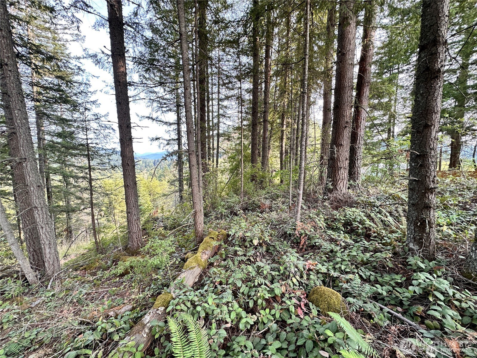 50113 146th Avenue E Eatonville WA 98328