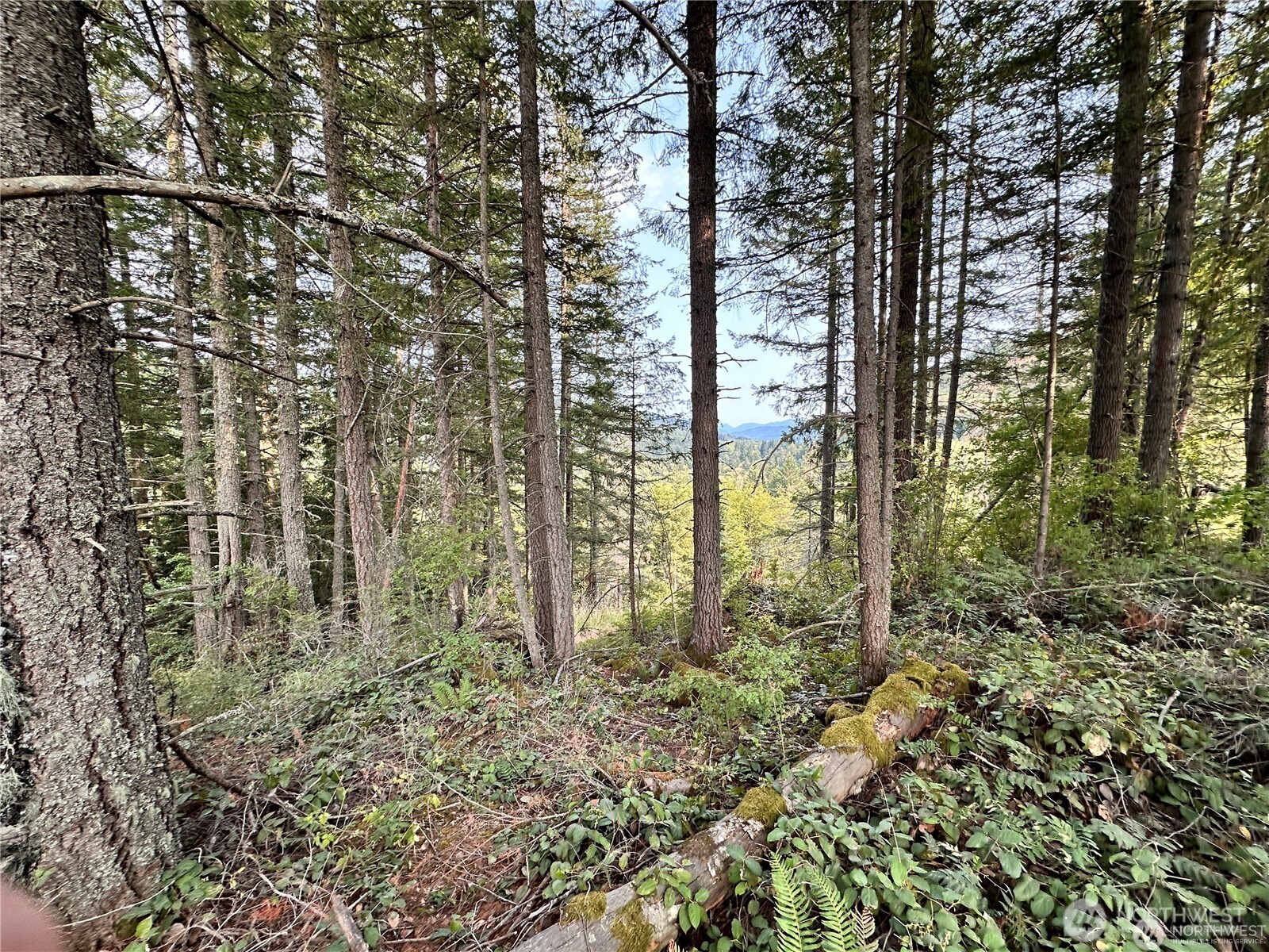 50113 146th Avenue E Eatonville WA 98328