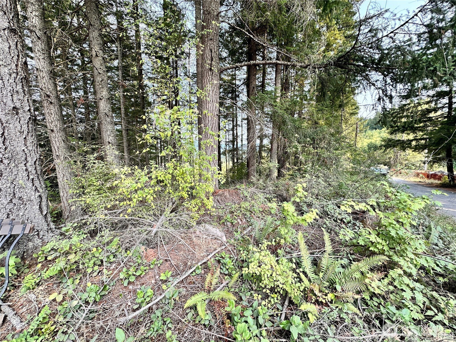 50113 146th Avenue E Eatonville WA 98328