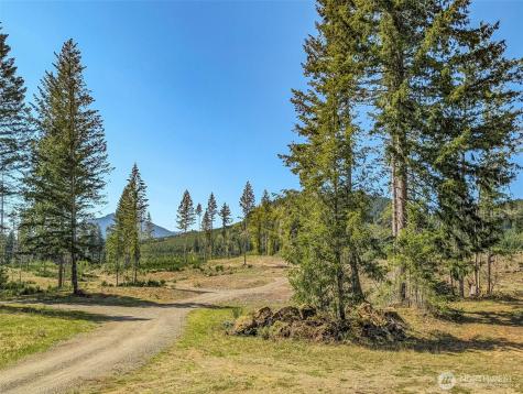 0 Craig Road Packwood WA 98361