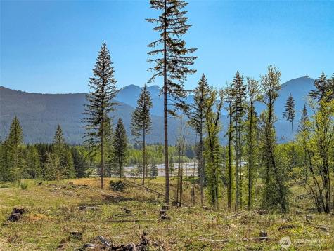 0 Craig Road Packwood WA 98361