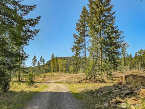 0 Craig Road Packwood WA 98361