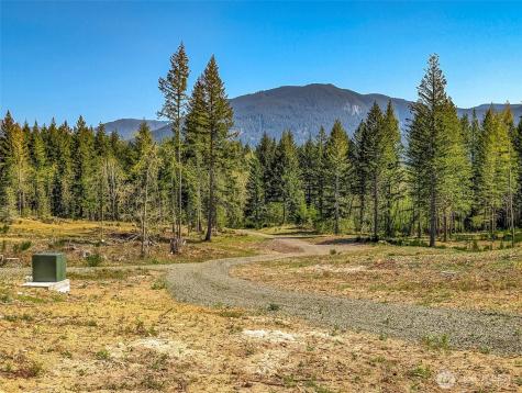0 Craig Road Packwood WA 98361