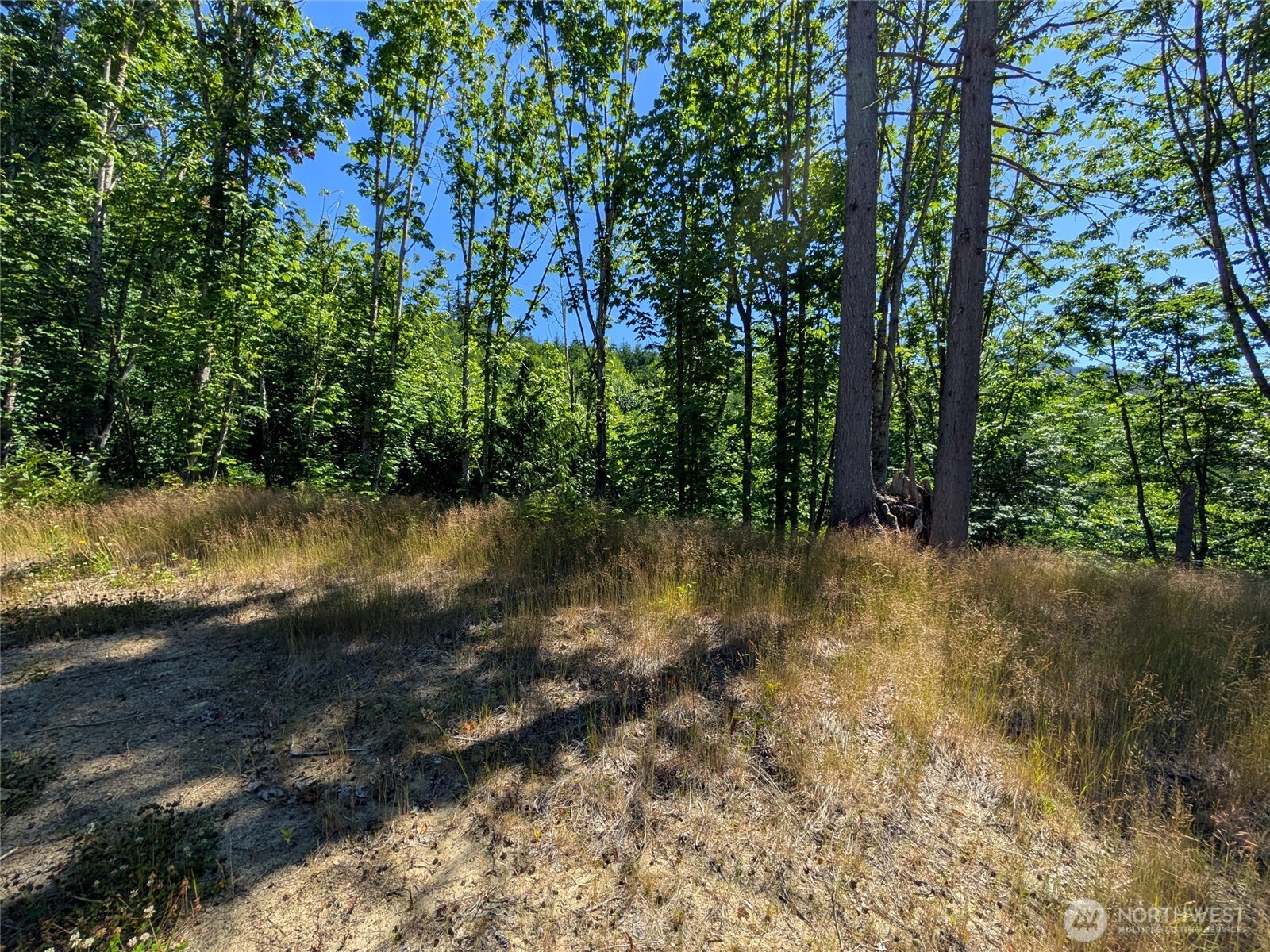 0 Stoney Brook Lane Bellingham WA 98229