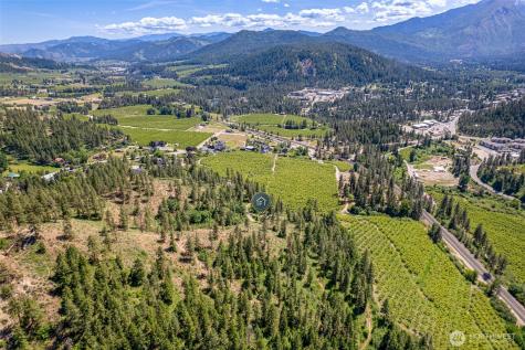 270 Arrowleaf Lane Leavenworth WA 98826