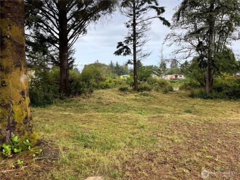743 Copalis Avenue NE Ocean Shores WA 98569