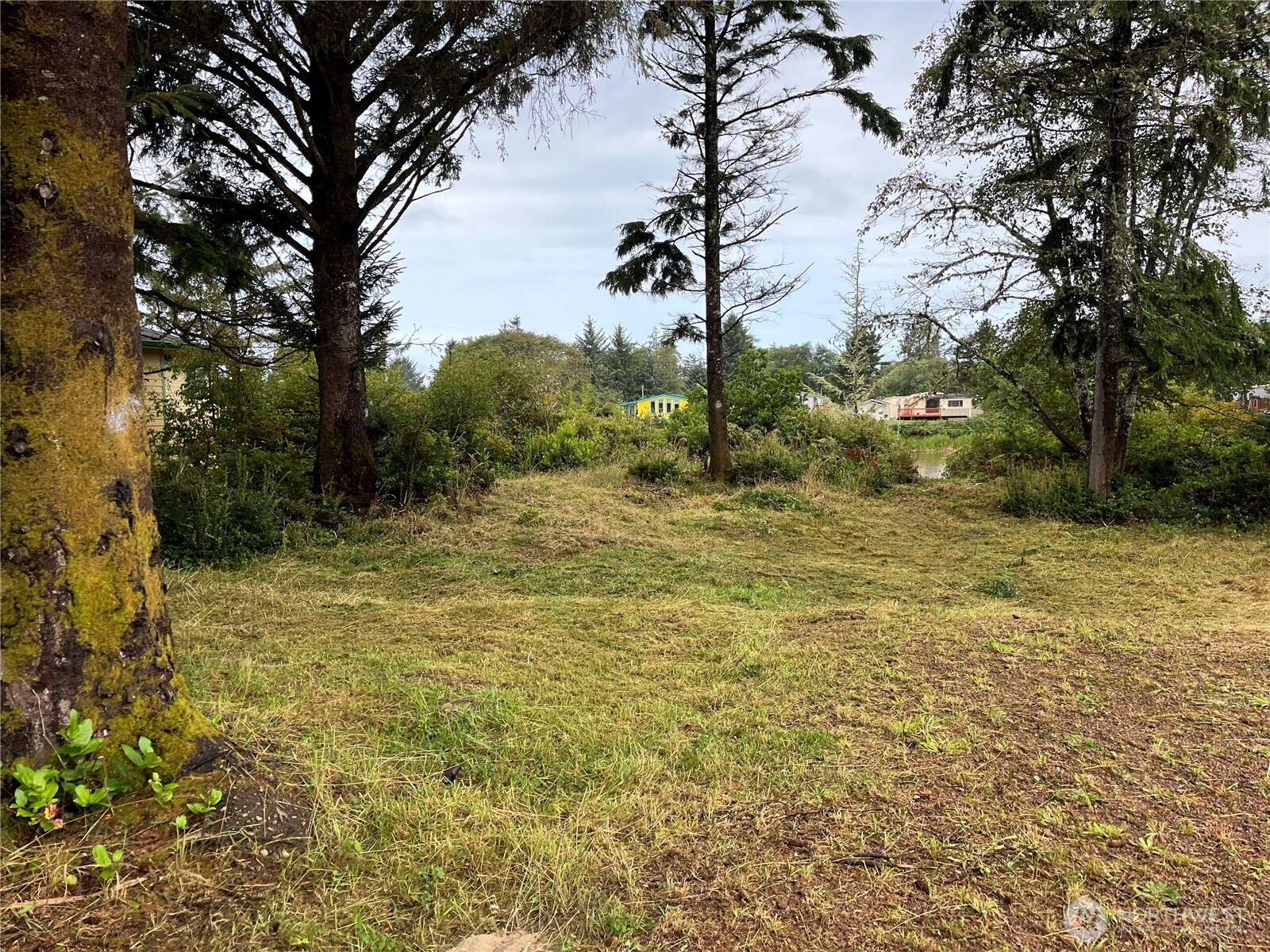 743 Copalis Avenue NE Ocean Shores WA 98569