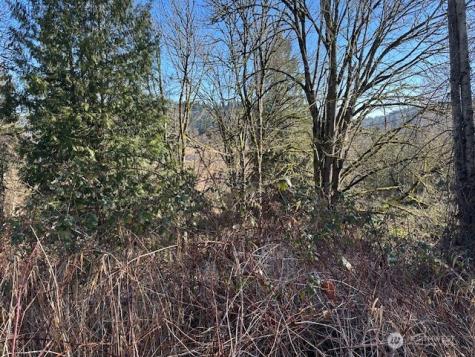 57 188th Avenue NE Redmond WA 98053