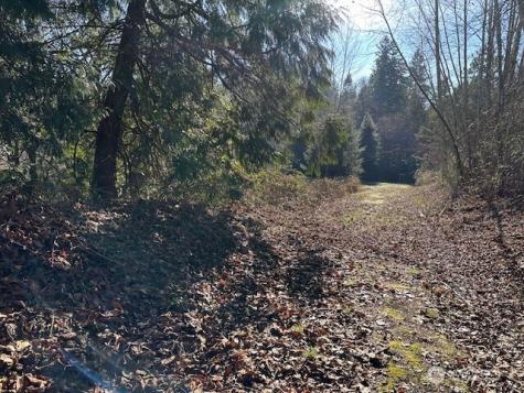 57 188th Avenue NE Redmond WA 98053