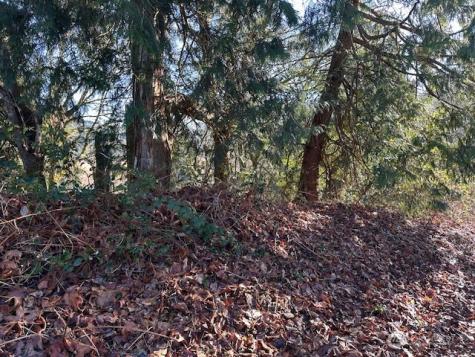 57 188th Avenue NE Redmond WA 98053