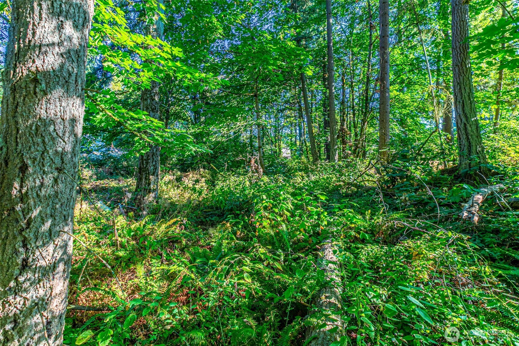 36922 6th Avenue SW Federal Way WA 98023