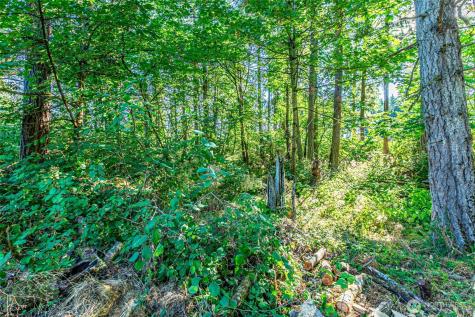 36922 6th Avenue SW Federal Way WA 98023