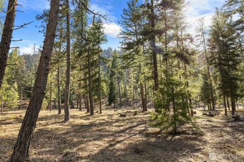 31 Domerie Park Loop Cle Elum WA 98922
