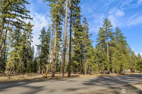 31 Domerie Park Loop Cle Elum WA 98922