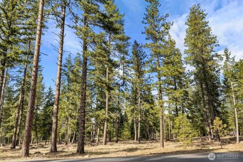 31 Domerie Park Loop Cle Elum WA 98922