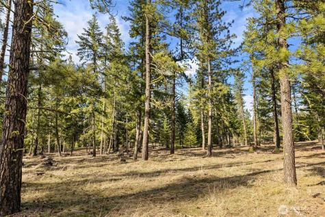 31 Domerie Park Loop Cle Elum WA 98922