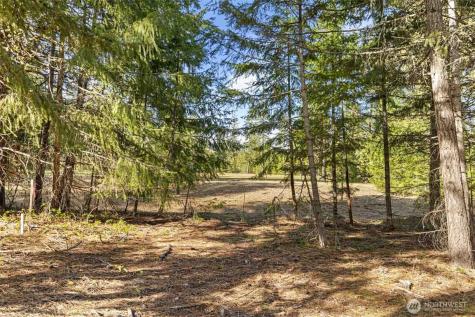31 Domerie Park Loop Cle Elum WA 98922