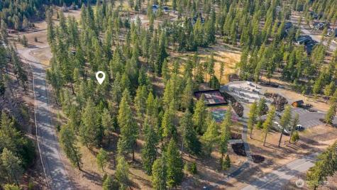 31 Domerie Park Loop Cle Elum WA 98922