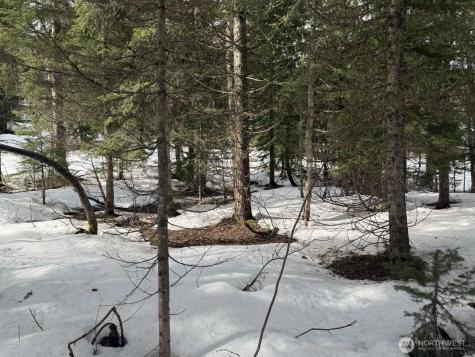 129 Chamonix Place Snoqualmie Pass WA 98068