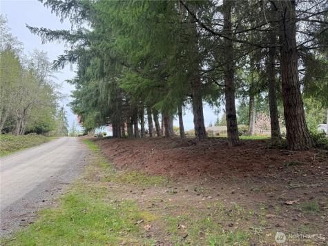 0 163rd Street E Wilkeson WA 98396