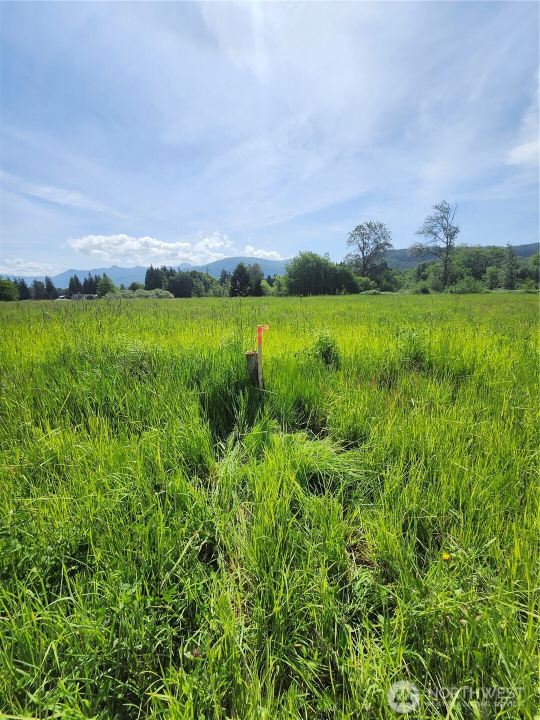 1333 Railroad Avenue Sedro Woolley WA 98284