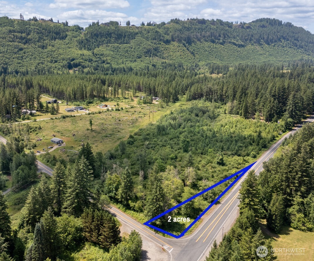 0 Lewis River Road Ariel WA 98603