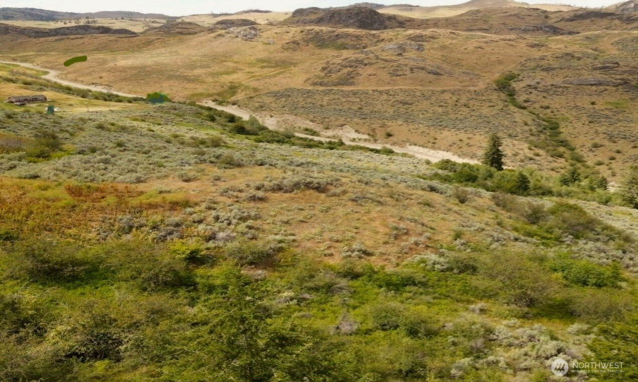 111 Tbd Eagles Bluff Oroville WA 98844
