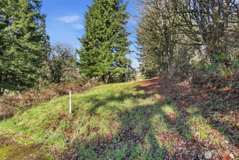 0 Feather Ridge Drive Kalama WA 98625