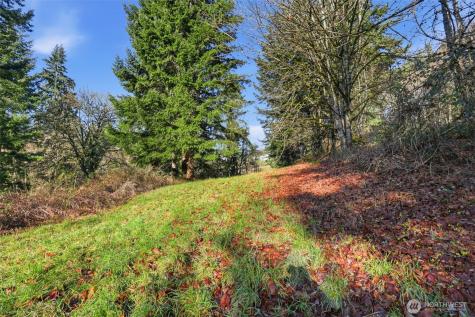 0 Feather Ridge Drive Kalama WA 98625
