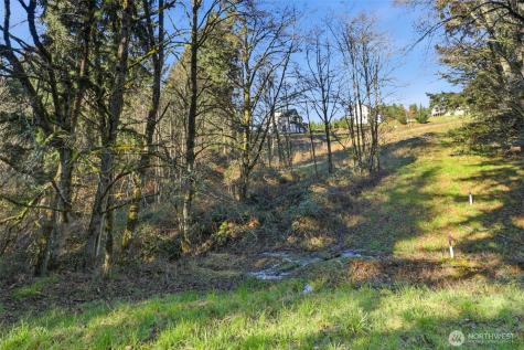 0 Feather Ridge Drive Kalama WA 98625