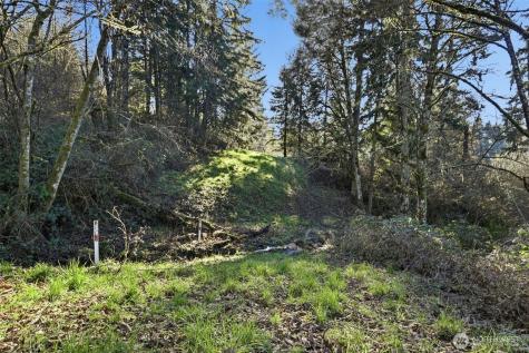 0 Feather Ridge Drive Kalama WA 98625