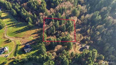 0 Feather Ridge Drive Kalama WA 98625