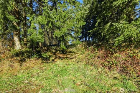 0 Feather Ridge Drive Kalama WA 98625