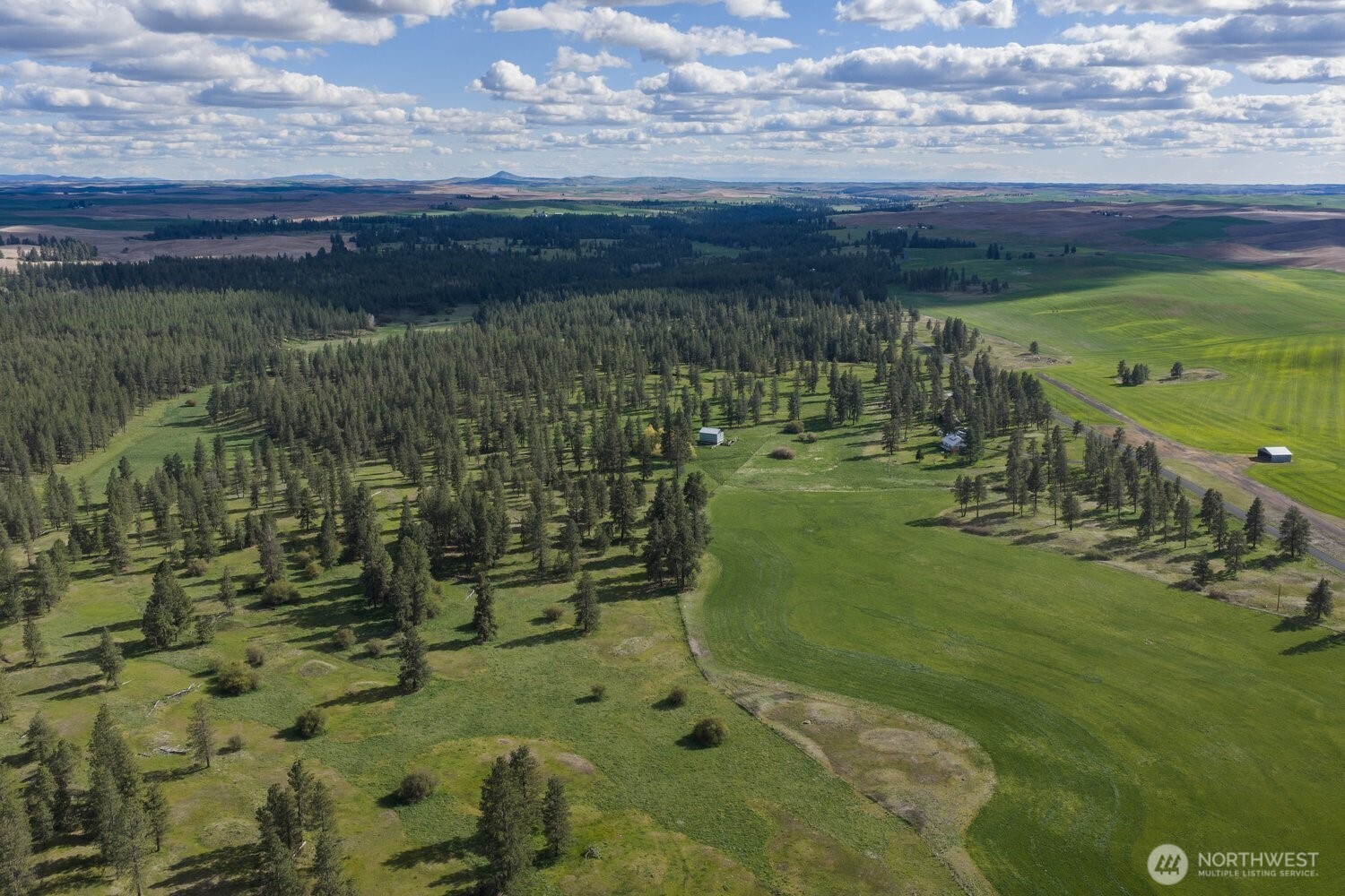 32312 North Pine Creek Road S Spangle WA 99031