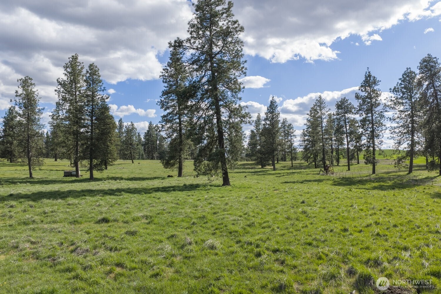 32312 North Pine Creek Road S Spangle WA 99031