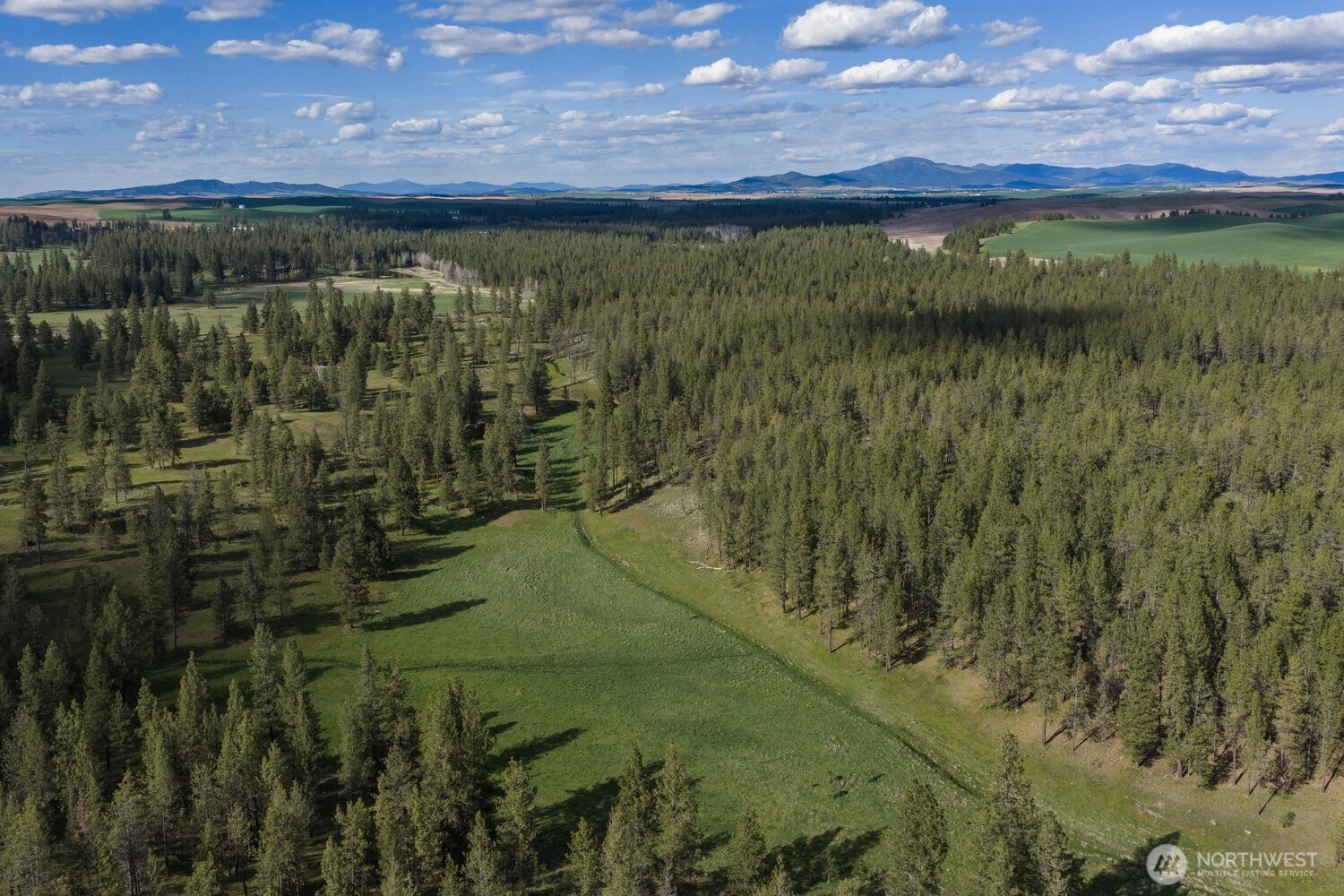 32312 North Pine Creek Road S Spangle WA 99031