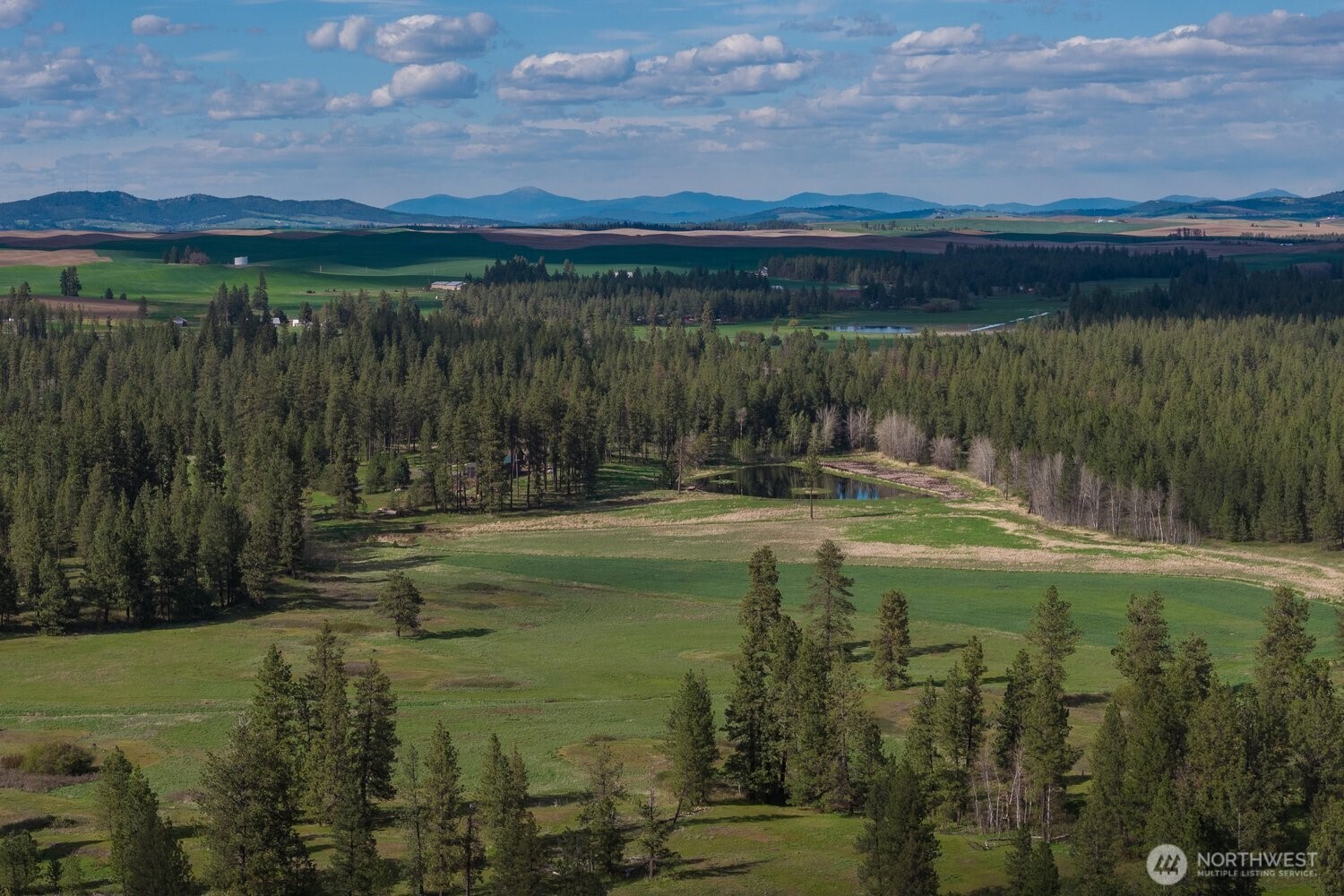 32312 North Pine Creek Road S Spangle WA 99031