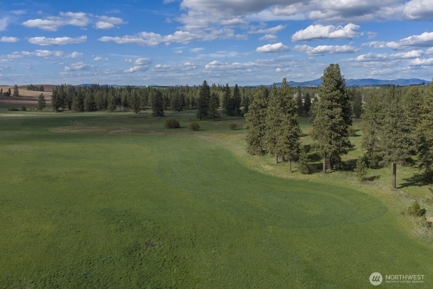 32312 North Pine Creek Road S Spangle WA 99031
