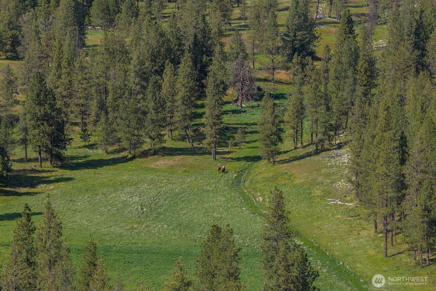 32312 North Pine Creek Road S Spangle WA 99031