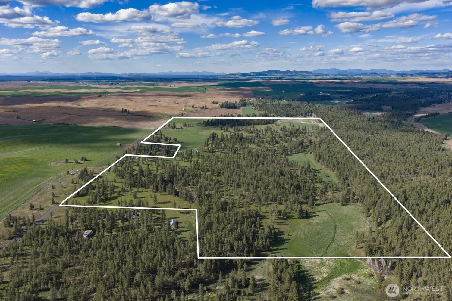 32312 North Pine Creek Road S Spangle WA 99031