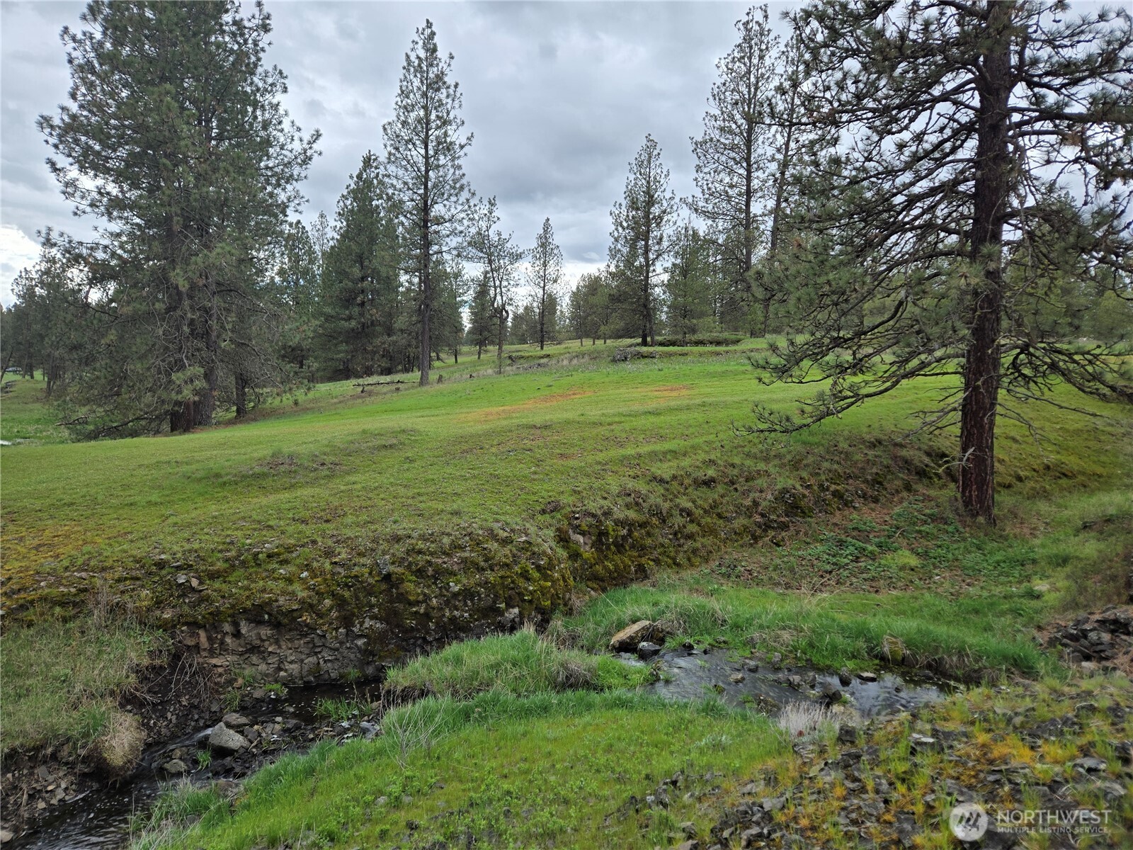 32312 North Pine Creek Road S Spangle WA 99031