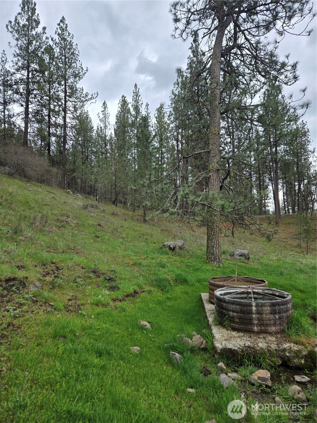 32312 North Pine Creek Road S Spangle WA 99031