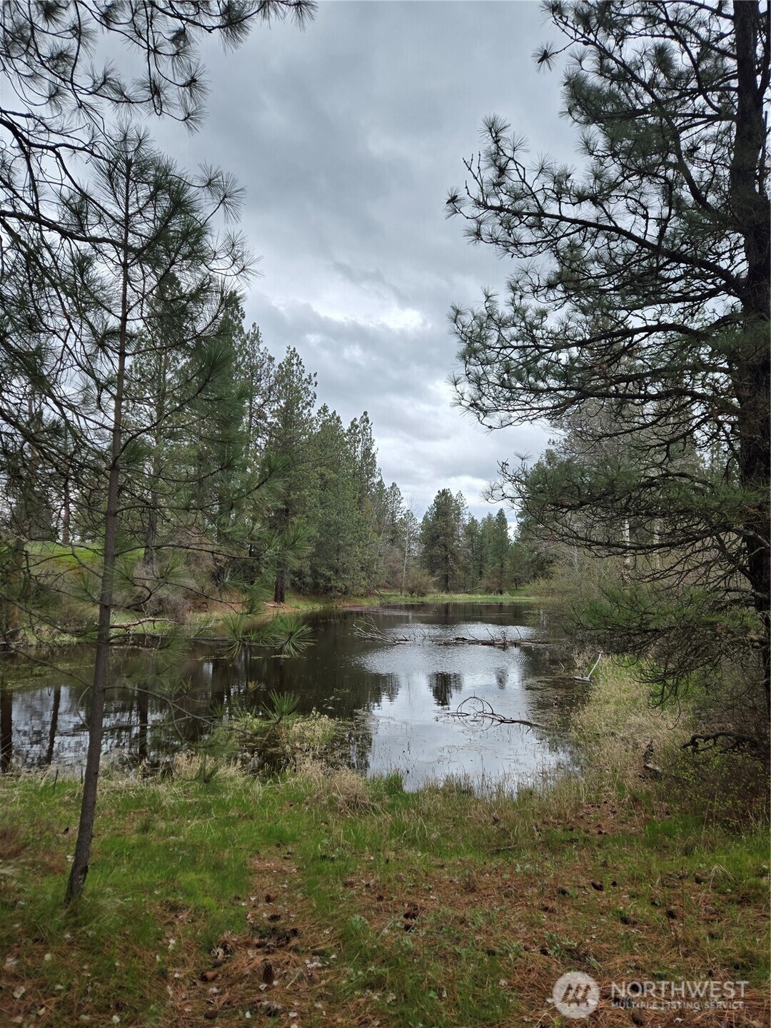 32312 North Pine Creek Road S Spangle WA 99031