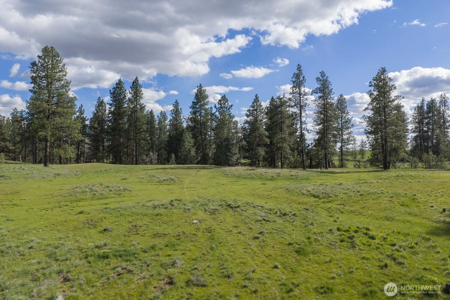 32312 North Pine Creek Road S Spangle WA 99031
