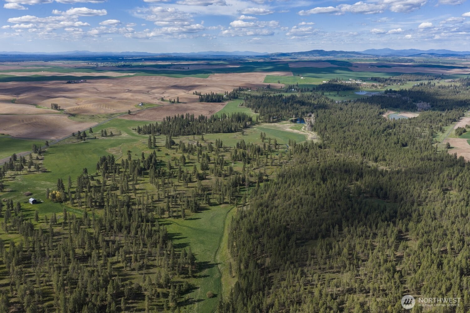 32312 North Pine Creek Road S Spangle WA 99031