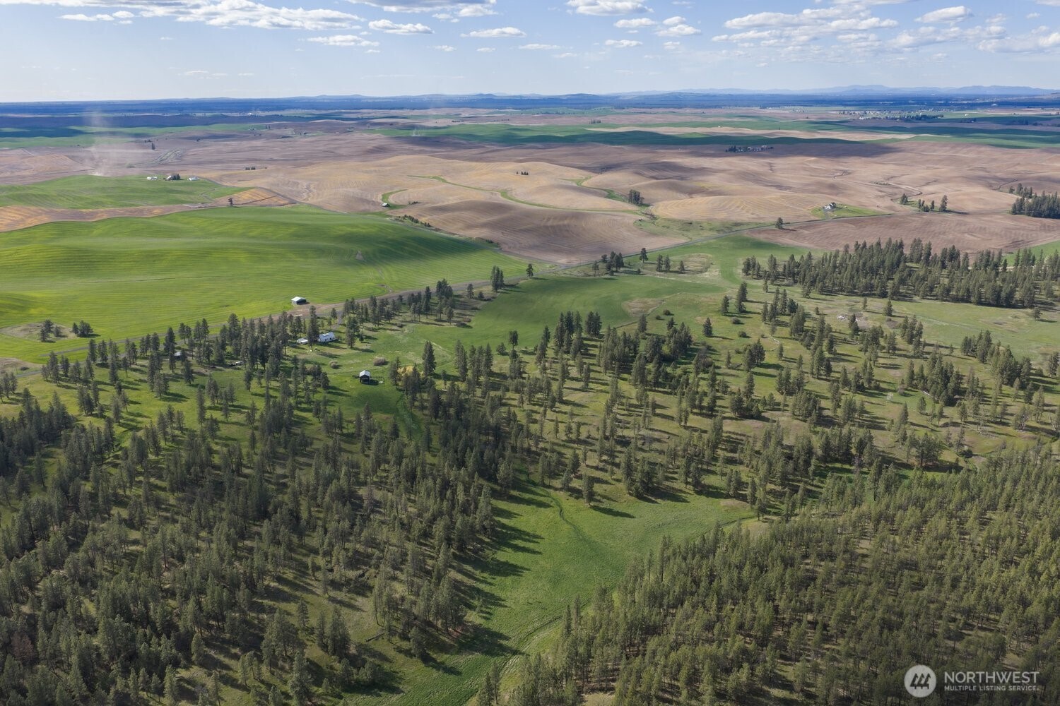 32312 North Pine Creek Road S Spangle WA 99031