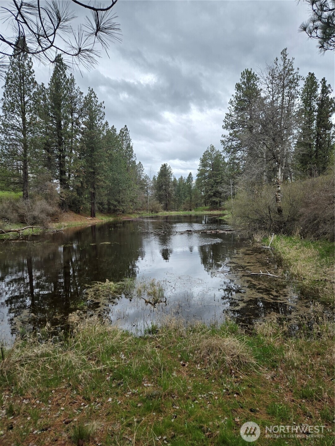 32312 North Pine Creek Road S Spangle WA 99031
